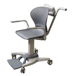Rice Lake 550-10-1 Chair Scale w/ Footrest-660 lb/300 kg Capacity